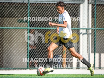 Detalhes da foto #36748