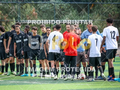 Detalhes da foto #55719