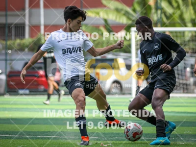 Detalhes da foto #72217