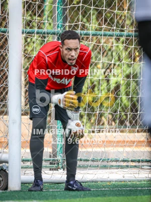 Detalhes da foto #43372