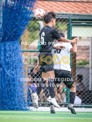 Detalhes da foto #13933