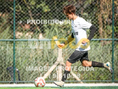 Detalhes da foto #87161