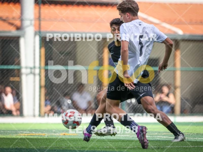 Detalhes da foto #39023