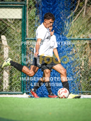 Detalhes da foto #10463