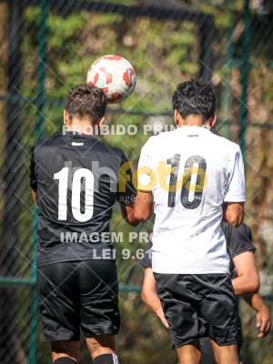 Detalhes da foto #14649