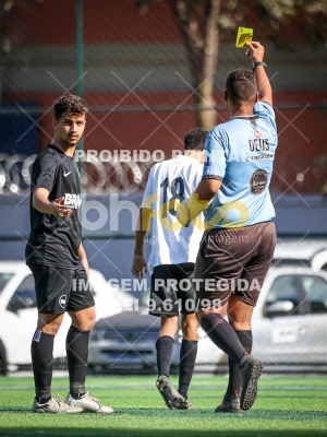 Detalhes da foto #21320