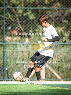 Detalhes da foto #94393