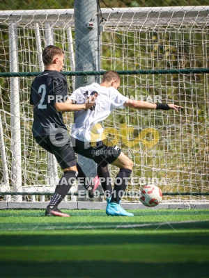 Detalhes da foto #18783