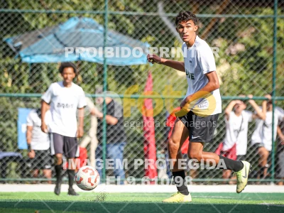 Detalhes da foto #10036