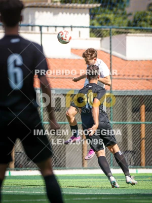 Detalhes da foto #80856