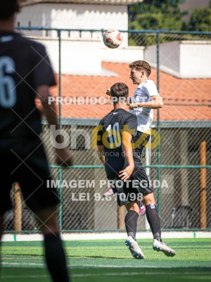Detalhes da foto #47476