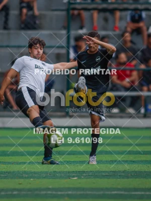 Detalhes da foto #2139728