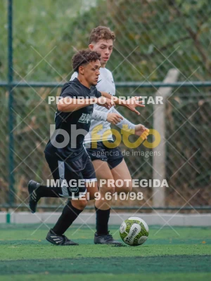 Detalhes da foto #8984098