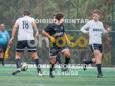 Detalhes da foto #8649495