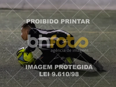 Detalhes da foto #3309994