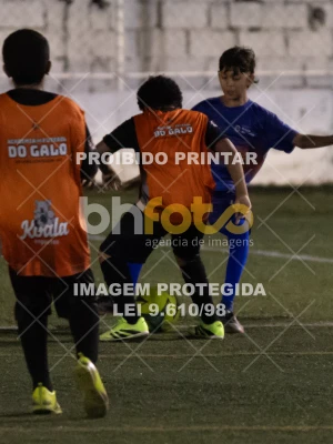 Detalhes da foto #2782247