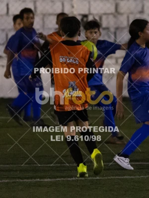 Detalhes da foto #8101296