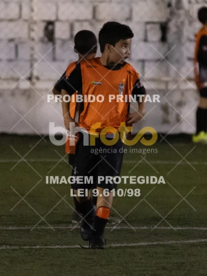 Detalhes da foto #8078468