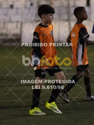 Detalhes da foto #8729558
