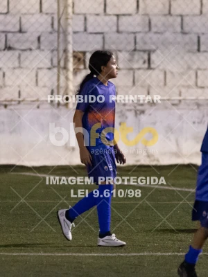 Detalhes da foto #2252623