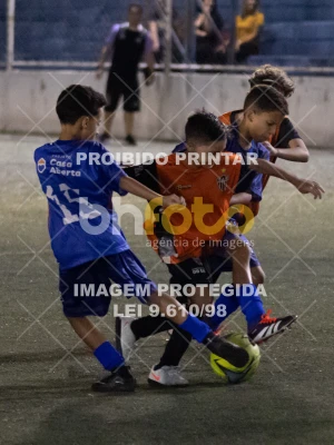 Detalhes da foto #7290739