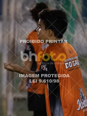 Detalhes da foto #1476602