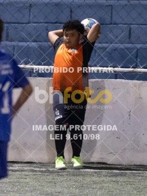 Detalhes da foto #8586128