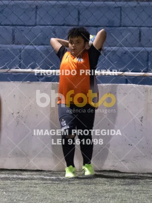 Detalhes da foto #4259022