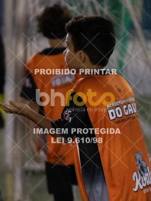 Detalhes da foto #4039526