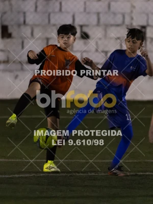 Detalhes da foto #4884344