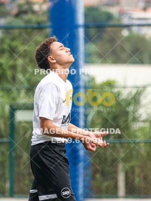 Detalhes da foto #12026