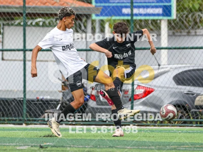 Detalhes da foto #12700