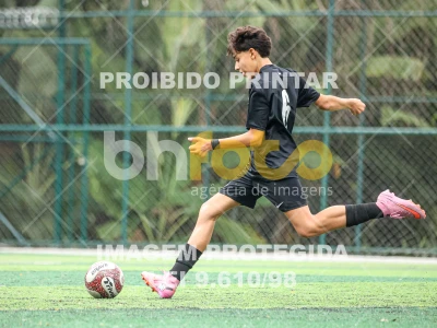 Detalhes da foto #98256