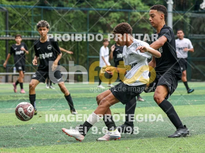 Detalhes da foto #35466