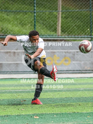 Detalhes da foto #68879