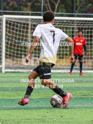 Detalhes da foto #44364