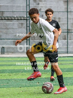 Detalhes da foto #26692