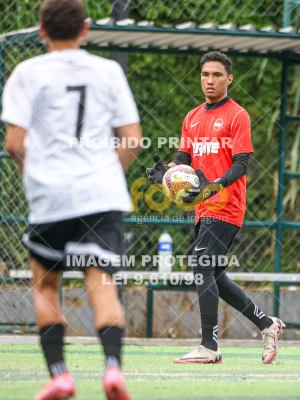 Detalhes da foto #36509