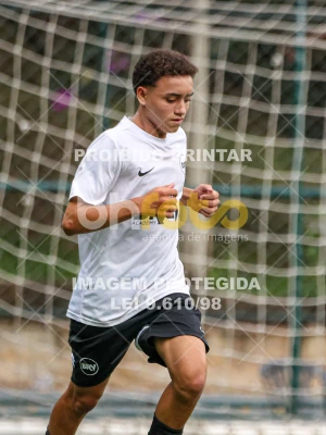 Detalhes da foto #95315