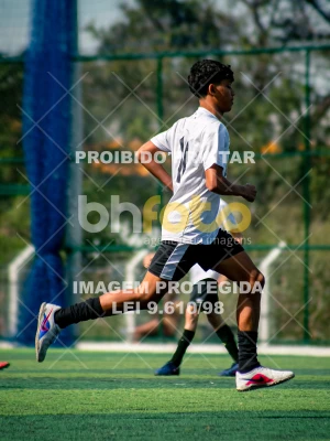 Detalhes da foto #8648156