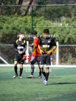 Detalhes da foto #4524370