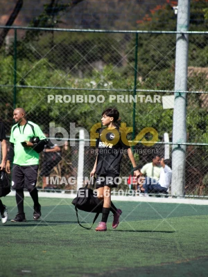 Detalhes da foto #2369203