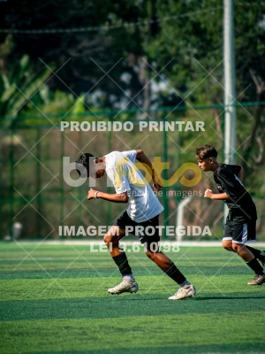 Detalhes da foto #8590971