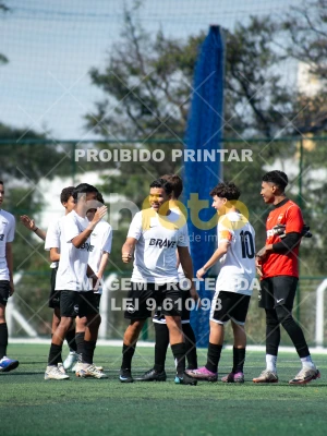 Detalhes da foto #4539464