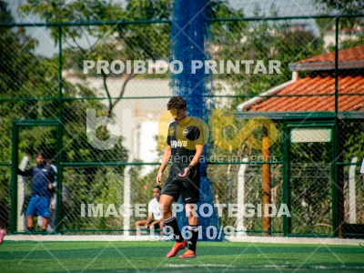 Detalhes da foto #7287269