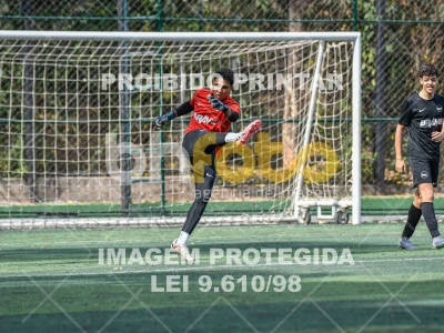 Detalhes da foto #4080846