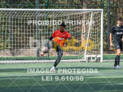 Detalhes da foto #3154215