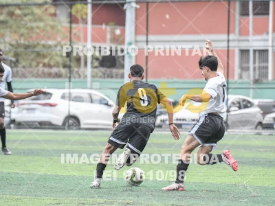 Detalhes da foto #3048571