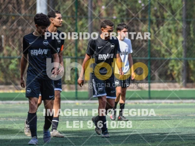Detalhes da foto #7102652