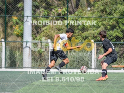 Detalhes da foto #2185272